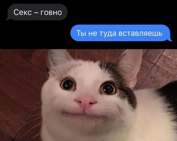 Секс говно