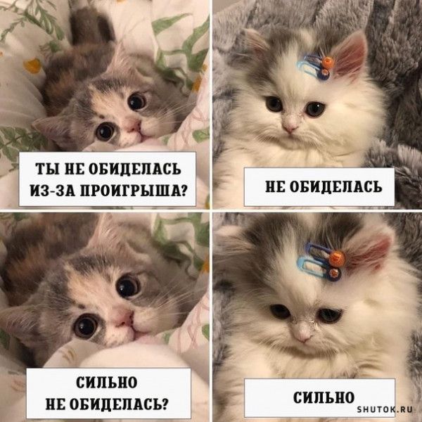 ты ш овидгмсь Ц инд проигрыши СИПЪПП ПЕ 0БПЦШШСЪ