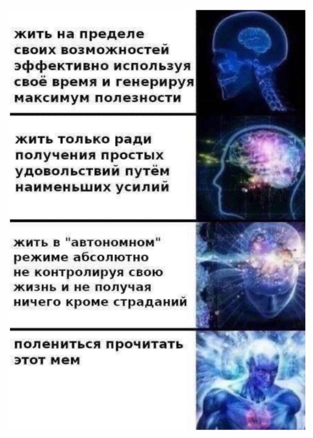 жить на пределе с оих возможностей эффект мо используя своё время и генерируя максимум полезности жить только ради получении простых удонольстпий путём наименьших усилий жить в автономном режиме абюпютио ие контролируя свою жизнь и не получая ничего кроме страданий полемитьси п рочитать этот иен