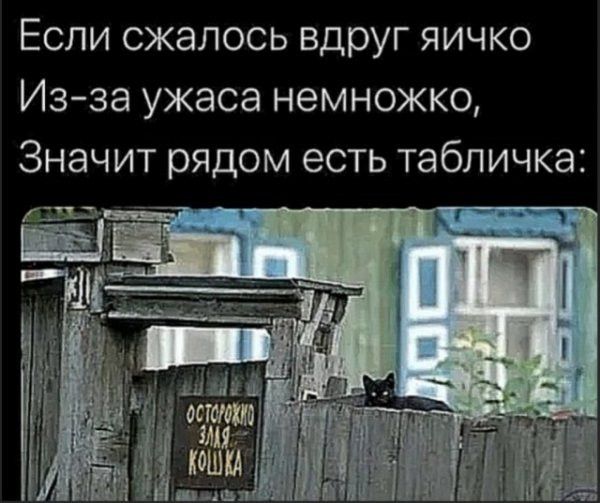 Если сжалось вдруг яичко Изза ужаса немножко Значит рядом есть табличка