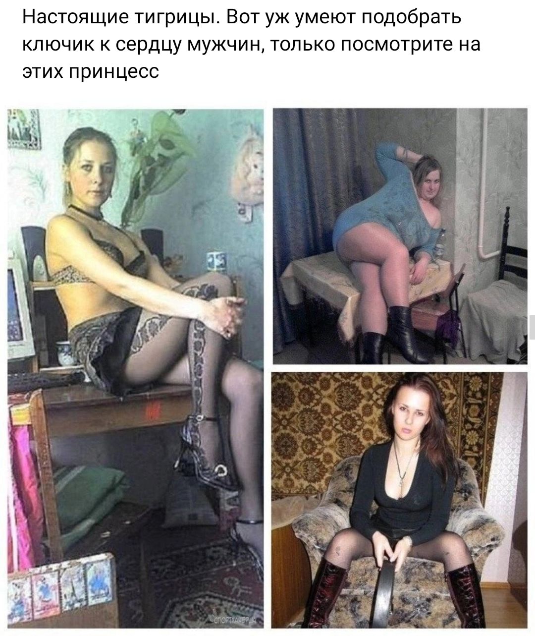 Настоящие тигрицы Вот уж умеют подобрать ключик к сердцу мужчин только посмотрите на этих принцесс