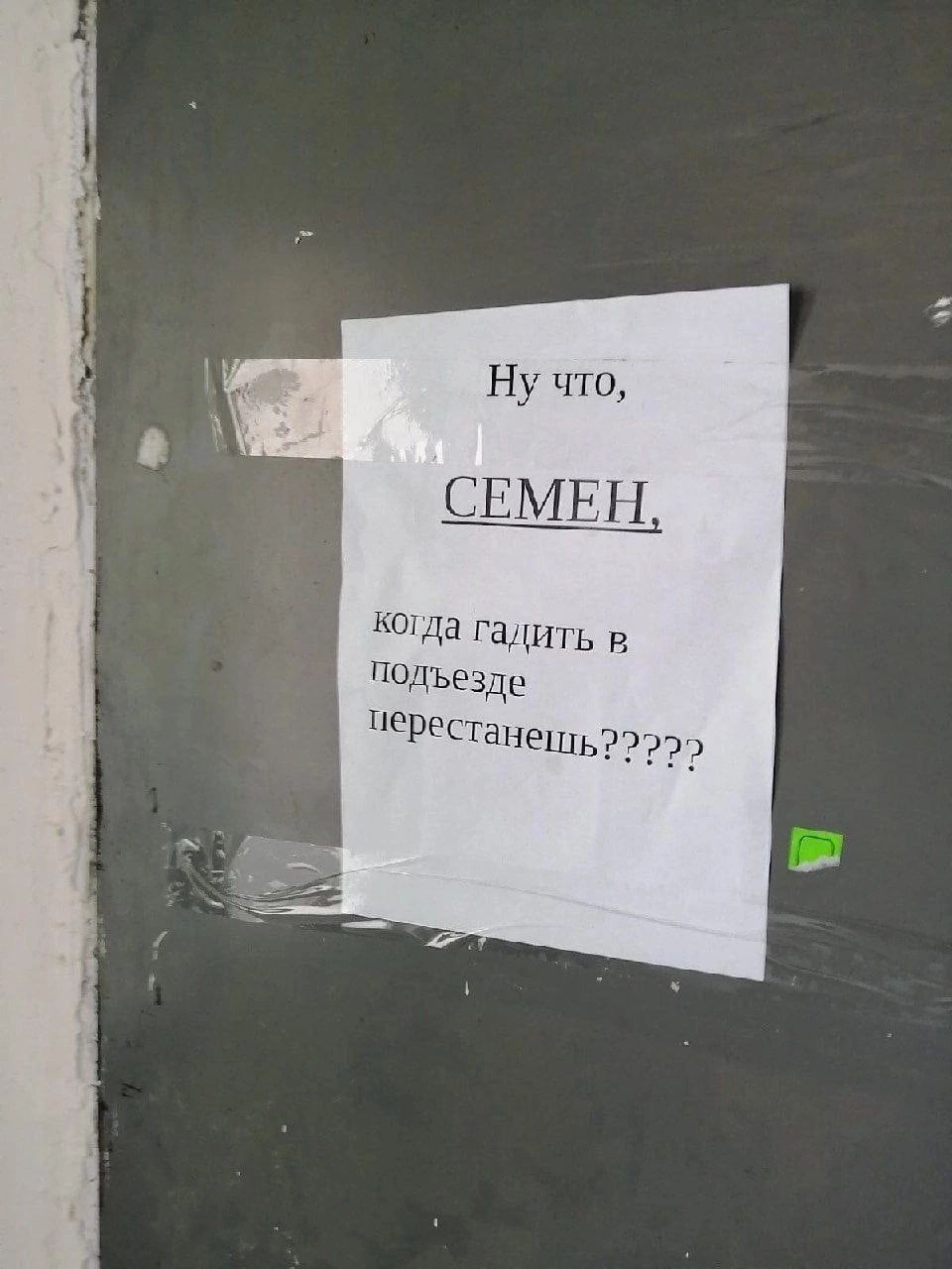 Ну по _Ц Мдд Шип Р ьшдн
