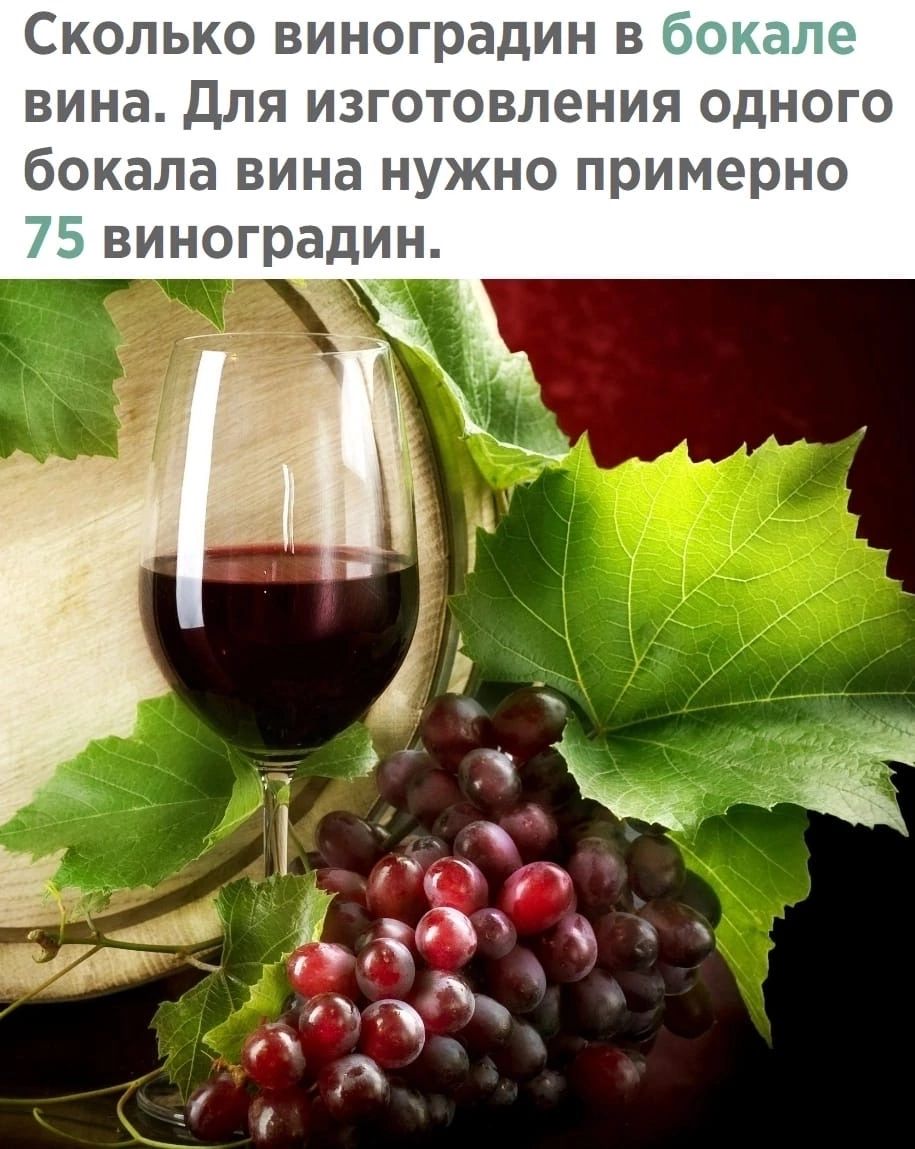 СКОЛЬКО виноградин В вина ДЛЯ ИЗГОТОВЛЕНИЯ ОДНОГО бокала ВИНд НУЖНО примерно виноградин