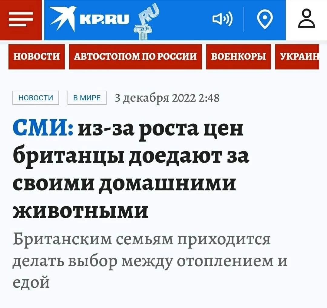 Бит он им 3декп6р12022248 СМИ из за роста цен британцы доедают за своими домашними животными Британским семьям приходится Делать выбор между отоплением и едой