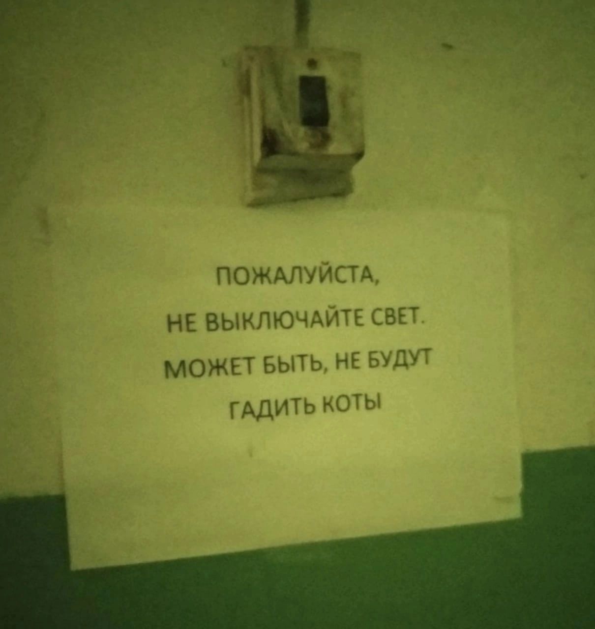 ПОЖАЛУИСТА НЕ ВЫКЛЮчАйЧ квг МОЖЕТ БЫТ а ні г ГАЛр