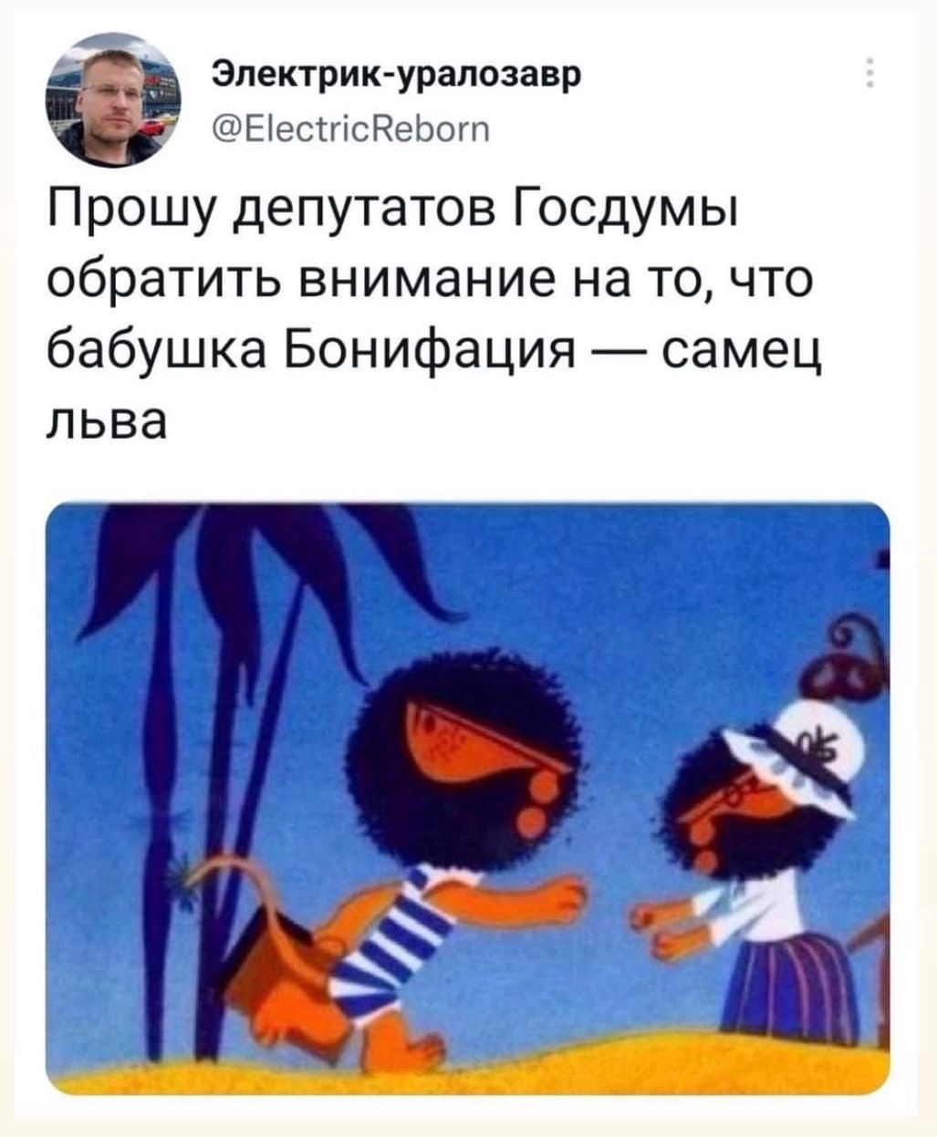 Эпактрикураппаанр Еіссіпс десь п Прошу депутатов Госдумы обратить внимание на то что бабушка Бонифация самец льва