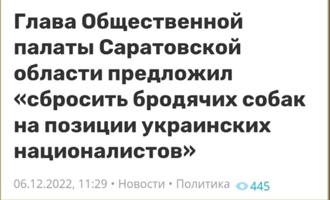 Глава Общественной палаты Саратовской области предложил сбросить бродячих собак на позиции украинских националистов 445