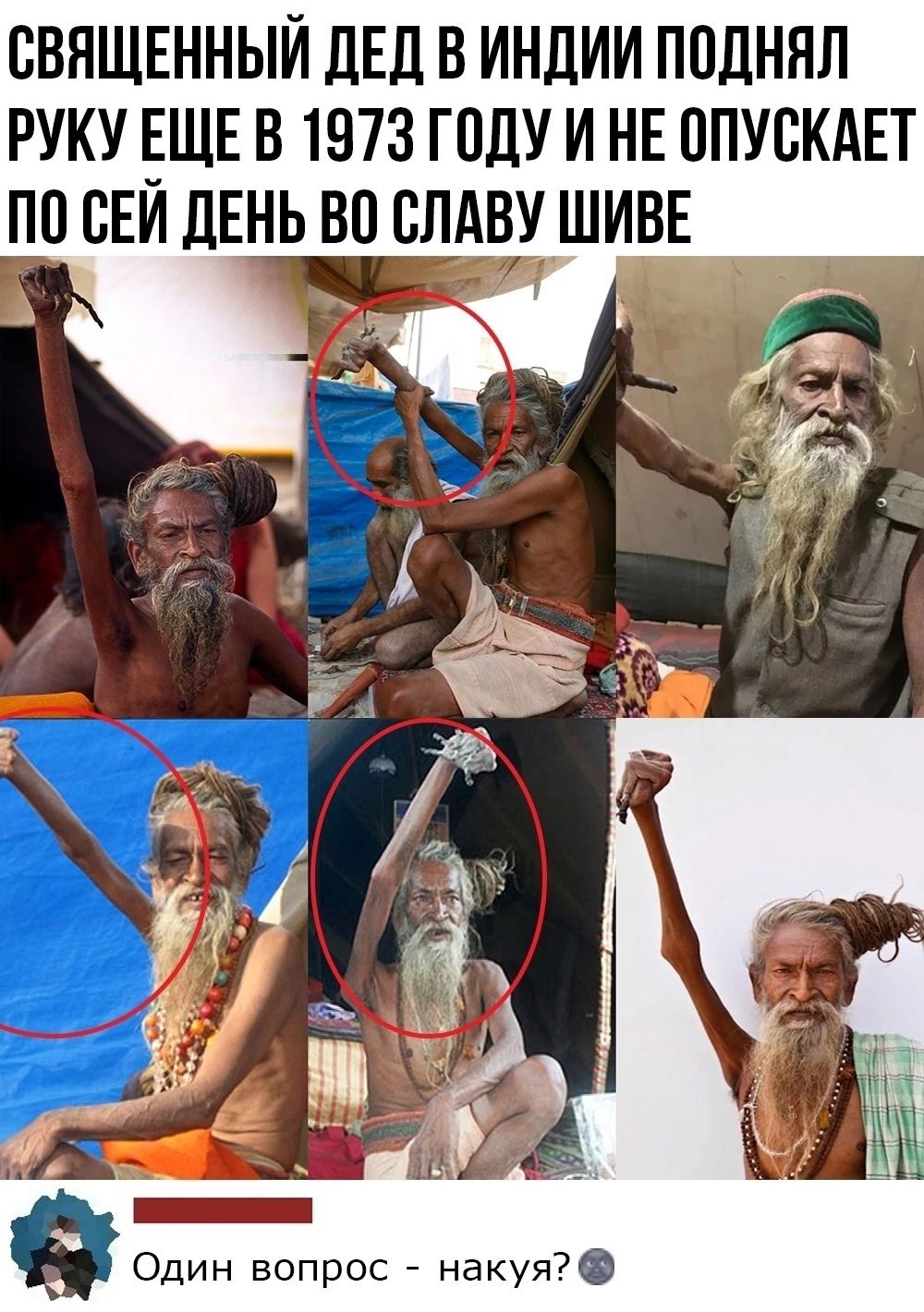СВНЩЕННЫЙ ДЕД В ИНДИИ ППдНЯЛ РУКУ ЕЩЕ В 1973 ГОДУ И НЕ ППУСКАЕТ ПО СЕИ ДЕНЬ В ВПАВШИВЕ 3 Один вопрос накуя