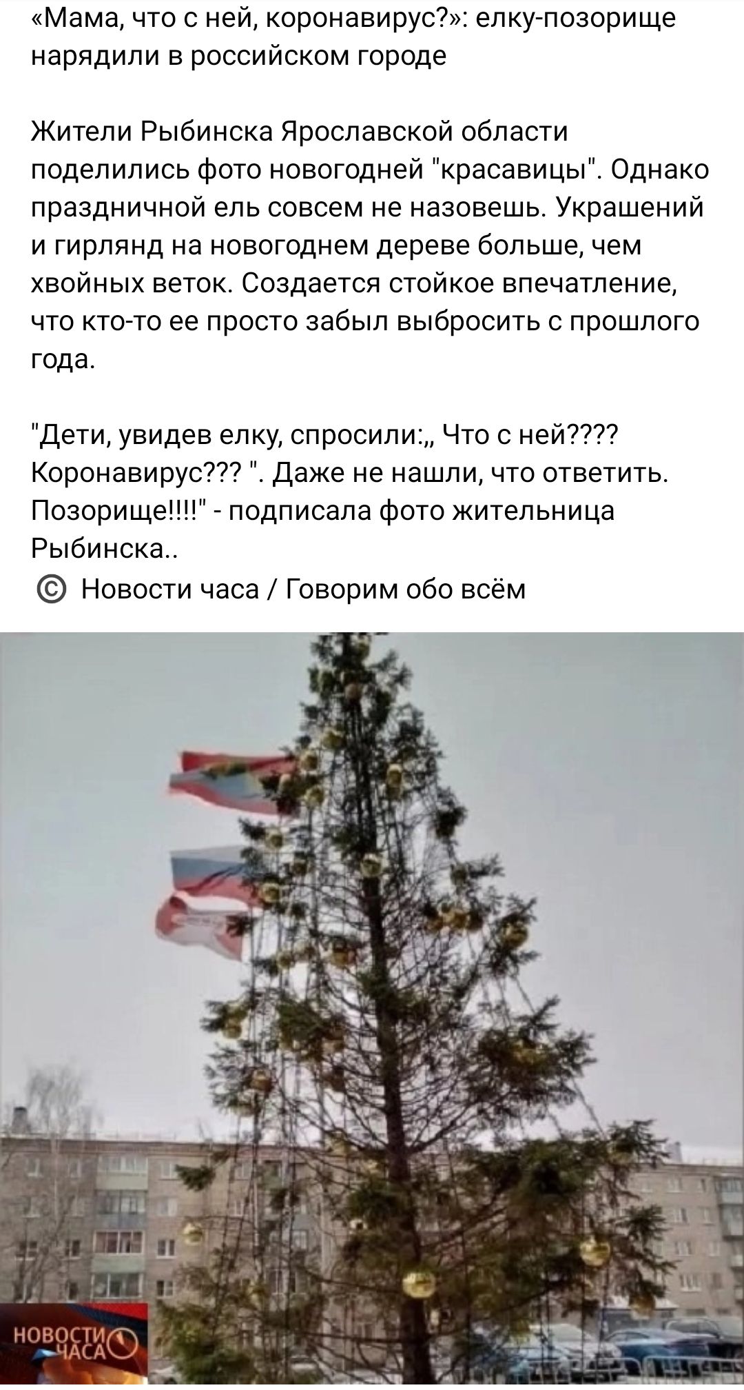 Мама что о ней оронавируо елку позорище нарядили в российском городе Жители Рыбинска Ярославской области поделились фото новогодней красавицы Однако праздничной ель совсем не назовешь Украшений и гирлянд на новогоднем дереве больше чем хвойных веток Создается стойкое впечатление что ктото ее просто забыл выбросить с прошлого года дети увидев еп ку спросили Что с ней Короиавирус777 Даже не нашли чт