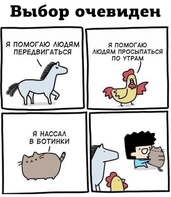Выбор очевиден Я ПОМОГАЮ АЮАЯМ я ПОМОГАЮ ПЕРЕАВИГАТЬСЯ людям просыппься по УТРАМ Я НАССАА Б БОТИНКИ