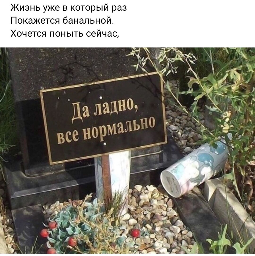 Жизнь уже в который раз покажется банальной Хочетя помыть сейчас