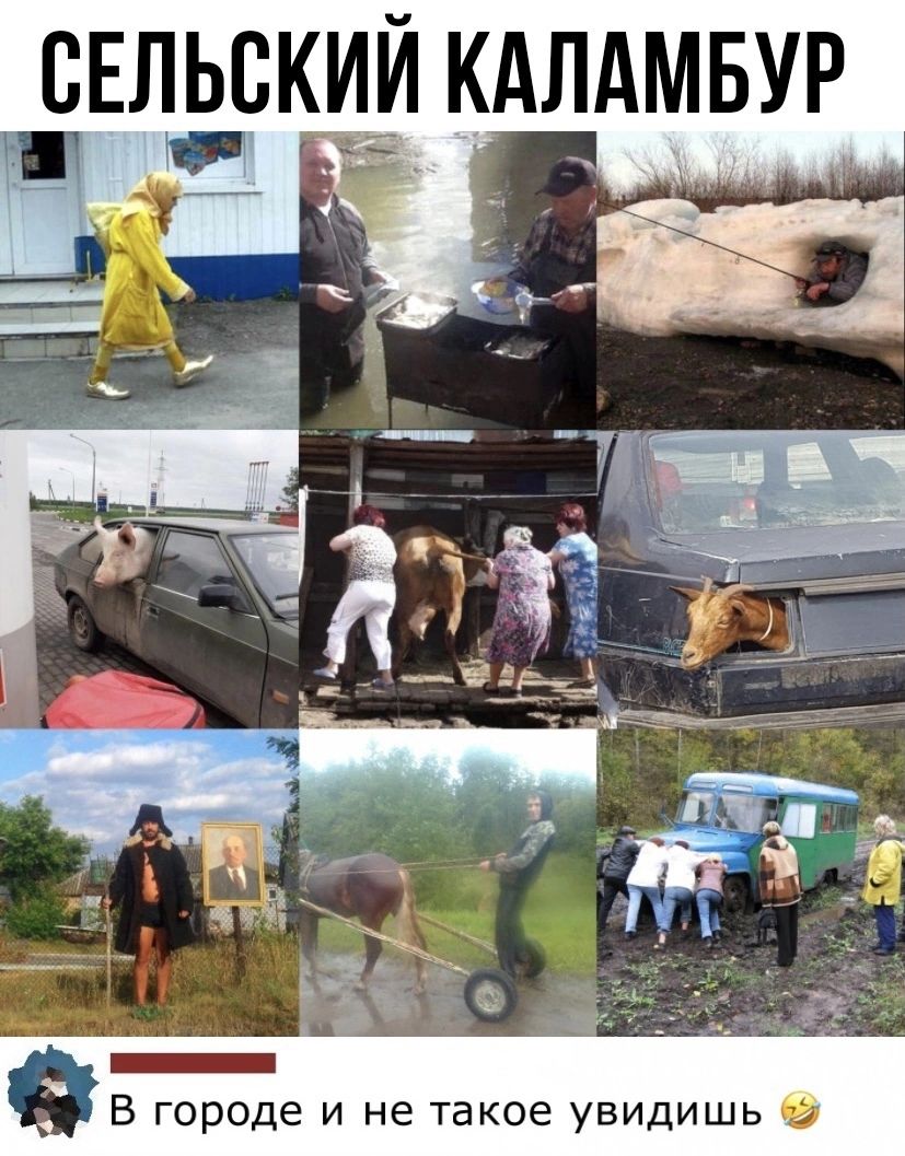 ВЕЛЬСКИЙ КАЛАМБУР ту т _