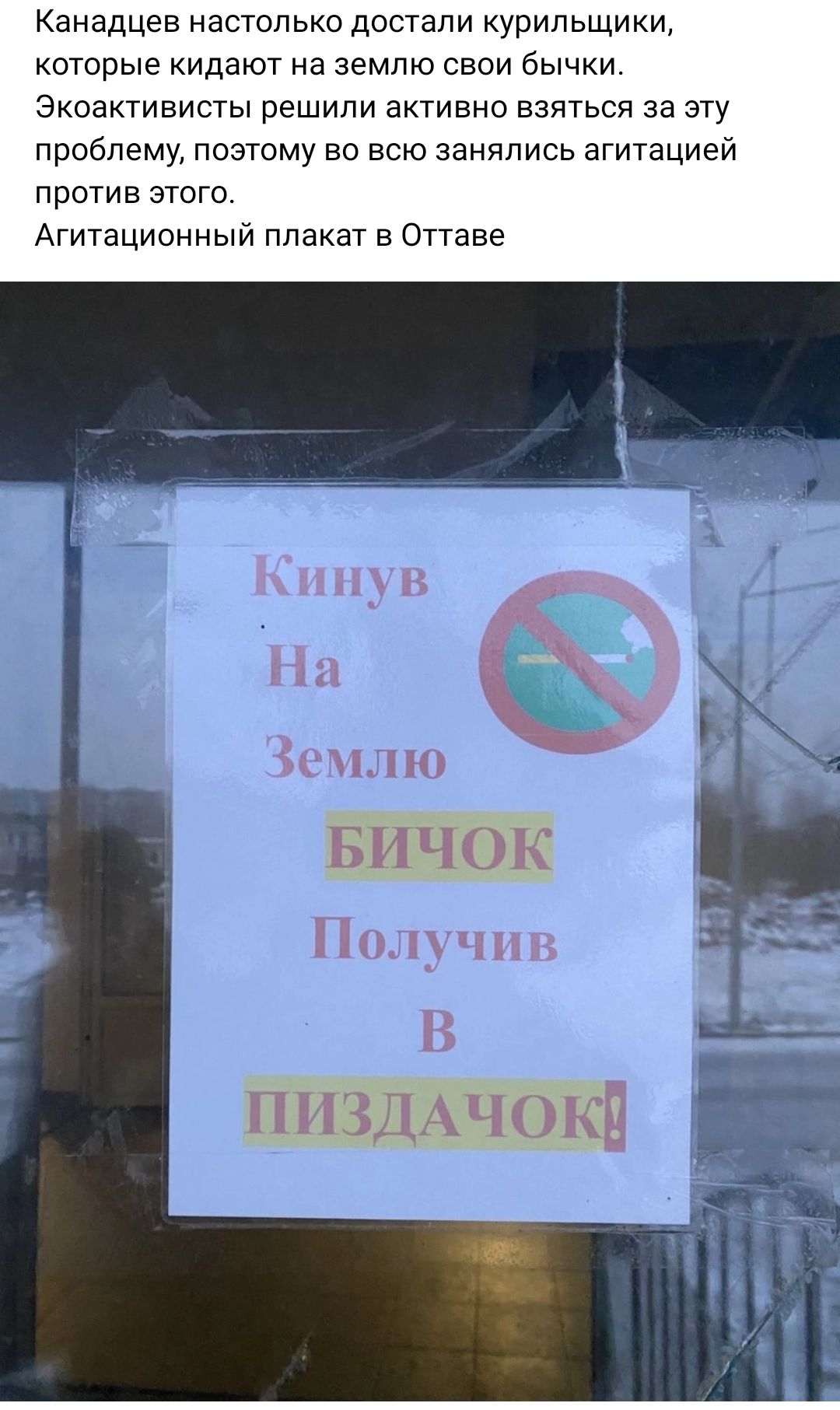 Канадцев настолько достали курильщики которые кидают на землю сваи бычки Экоактивисты решили активно взяться за эту проблему поэтому во всю занялись агитацией против этого Агитационный плакат в Оттаве ПИЗДАЧОЩ
