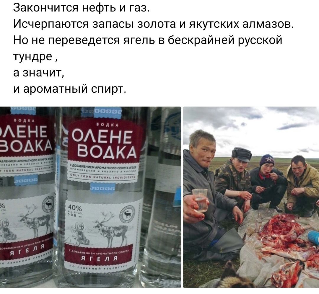 Закончится нефть и газ Исчерпаются запасы золота и якутских алмазов Но не перенедется ягепь в бескрайней русской ТУНДре а значит и ароматный спирт