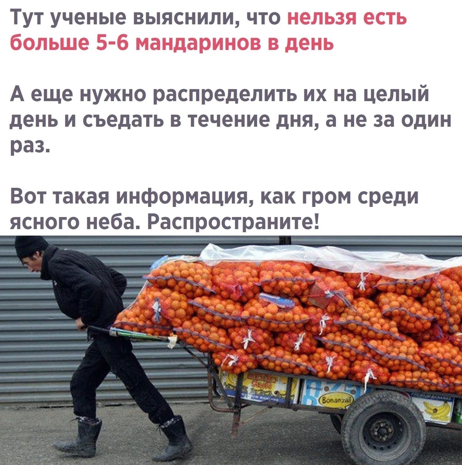 ТУТ УЧЕНЫЕ БЫЯСНИПИ ЧТО _ А еще нужно распределить их на целый день И съедать В течение дня а не за ОДИН раз Вот такая информация как гром среди ясного неба Распространите
