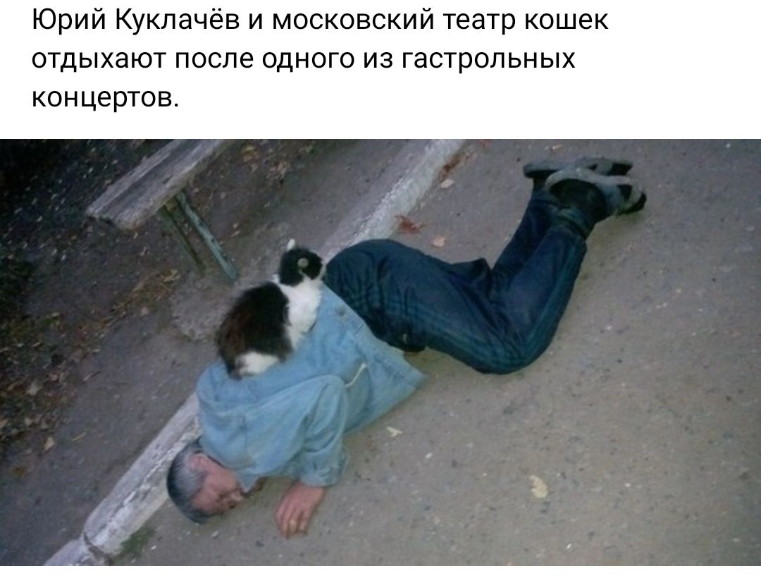 Юрий Куклачён и московский театр кошек отдыхают после одного из гастрольных концертов
