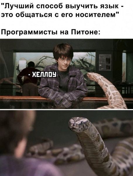 Лучший способ выучить язык это общаться с его носителем Программисты на Питоне дии нг ХЕЛППН