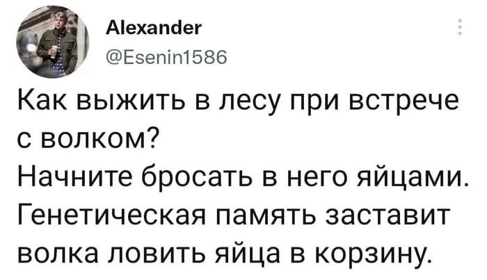 Аіехапйег Еэептптбвб Как выжить в лесу при встрече с волком Начните бросать в него яйцами Генетическая память заставит волка ПОВИТЬ яйца В КОРЗИНУ