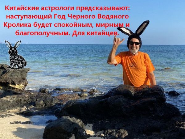 Китаиские астрологи предсказывают апупающии Год Черные Водяные Кролика будет пакоииыц мириы бпагопплучиым для шпица