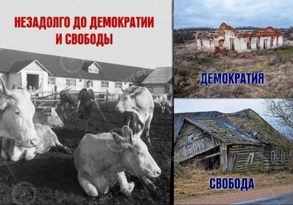 ПЗЦШП П ППИЦ И СШДМ