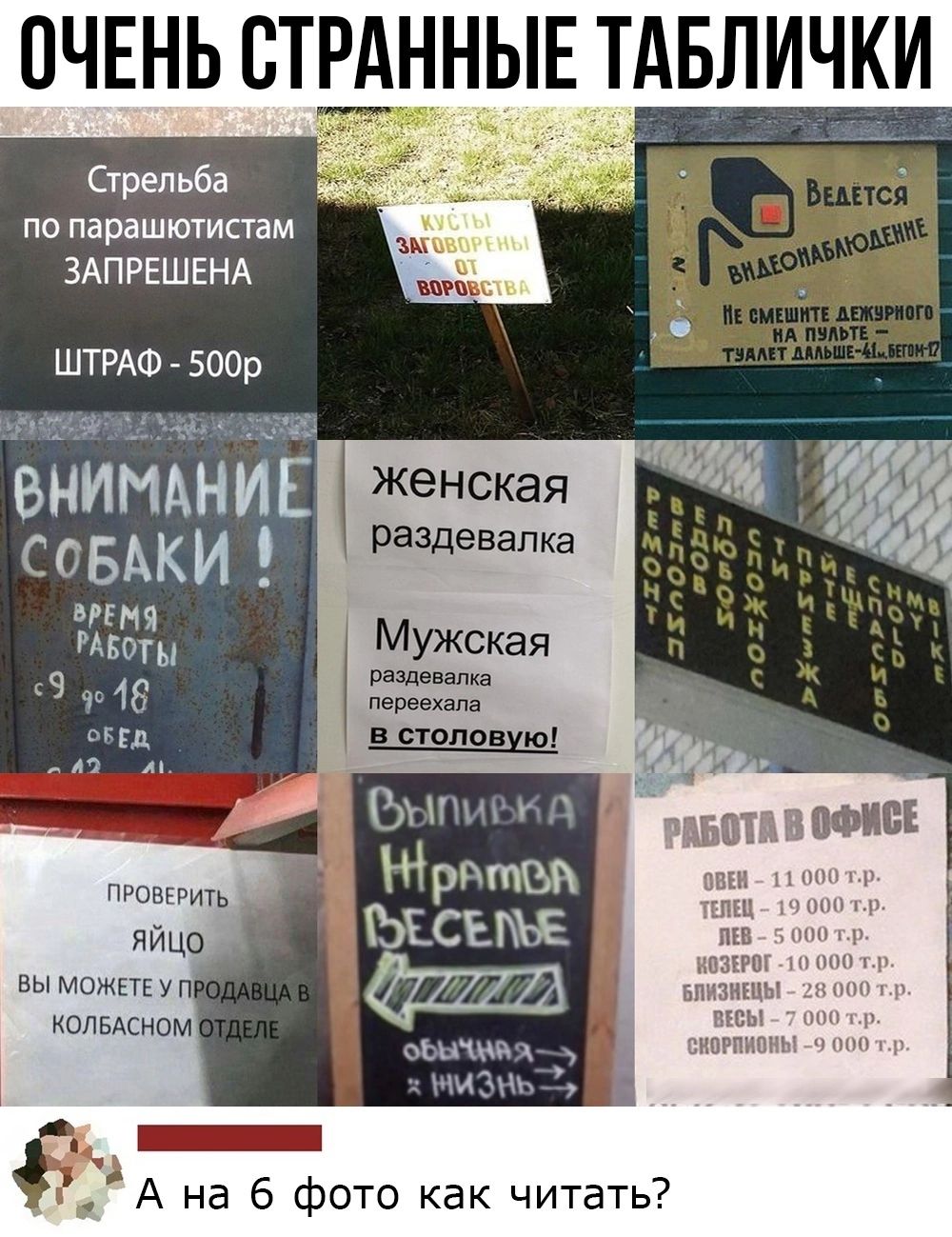 ОЧЕНЬ СТРАННЫЕ ТАБЛИЧКИ _ Стрельба по параштиаам ЗАПРЕЩЕНА ШТРАФ вирт 1439 СОБАКИ раздевалка щ ня пыщ МУЖ0кая тн 46 37 Шпонки Ы рптВ ЫСЫЪЕ вы мпжітпп влысиом отшим мЁПъ _ А на 6 фото как читать