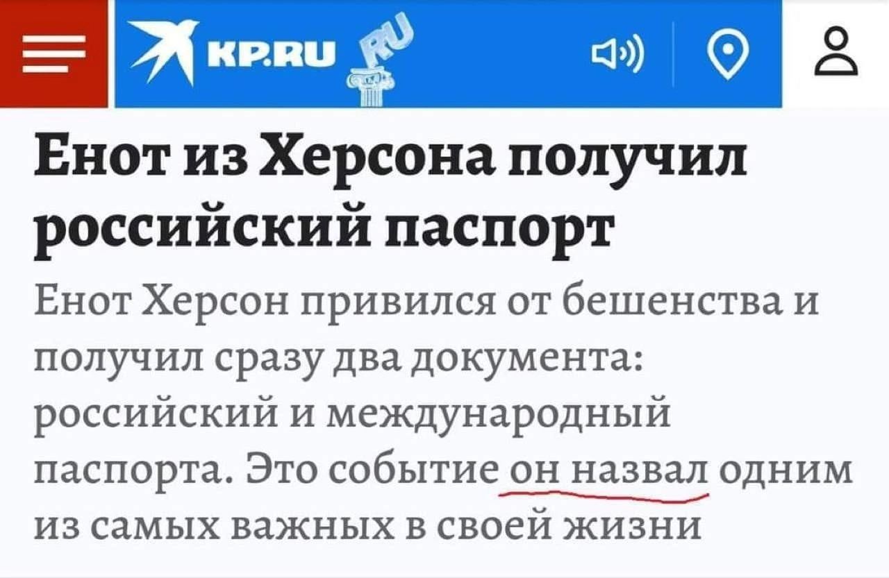апа Енот из Херсона получил российский паспорт Енот Херсон привился от бешенства и получил сразу два документа российский и международный паспорта Это событие он назвал одним _Ы из самых важных в своей жизни
