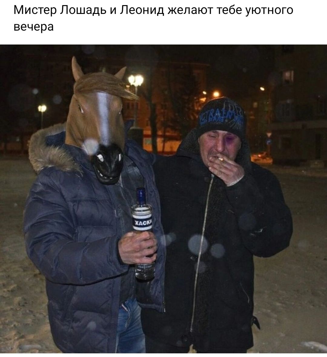 Мистер Лошадь и Леонид желают тебе уютного вечера й и