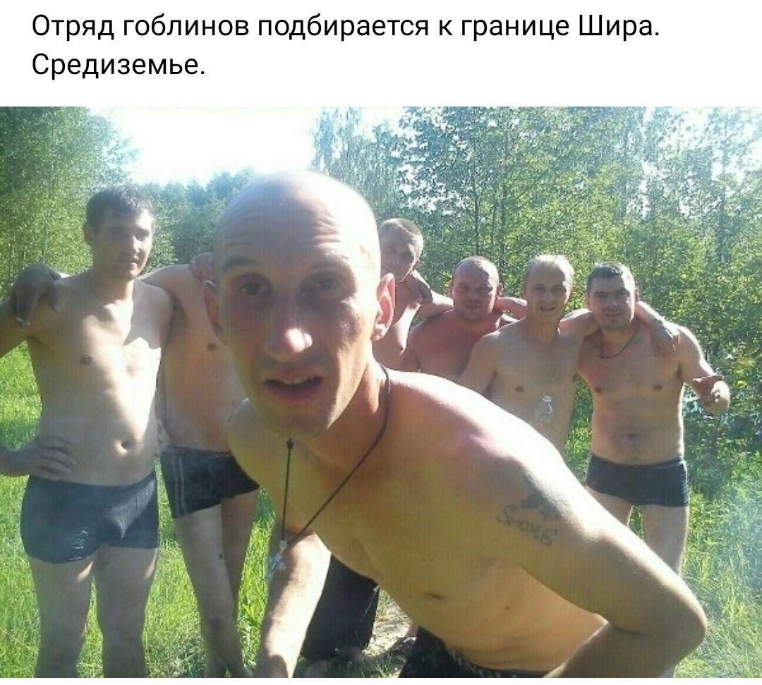 Отряд гоблинов подбирается границе Шира Средиземье