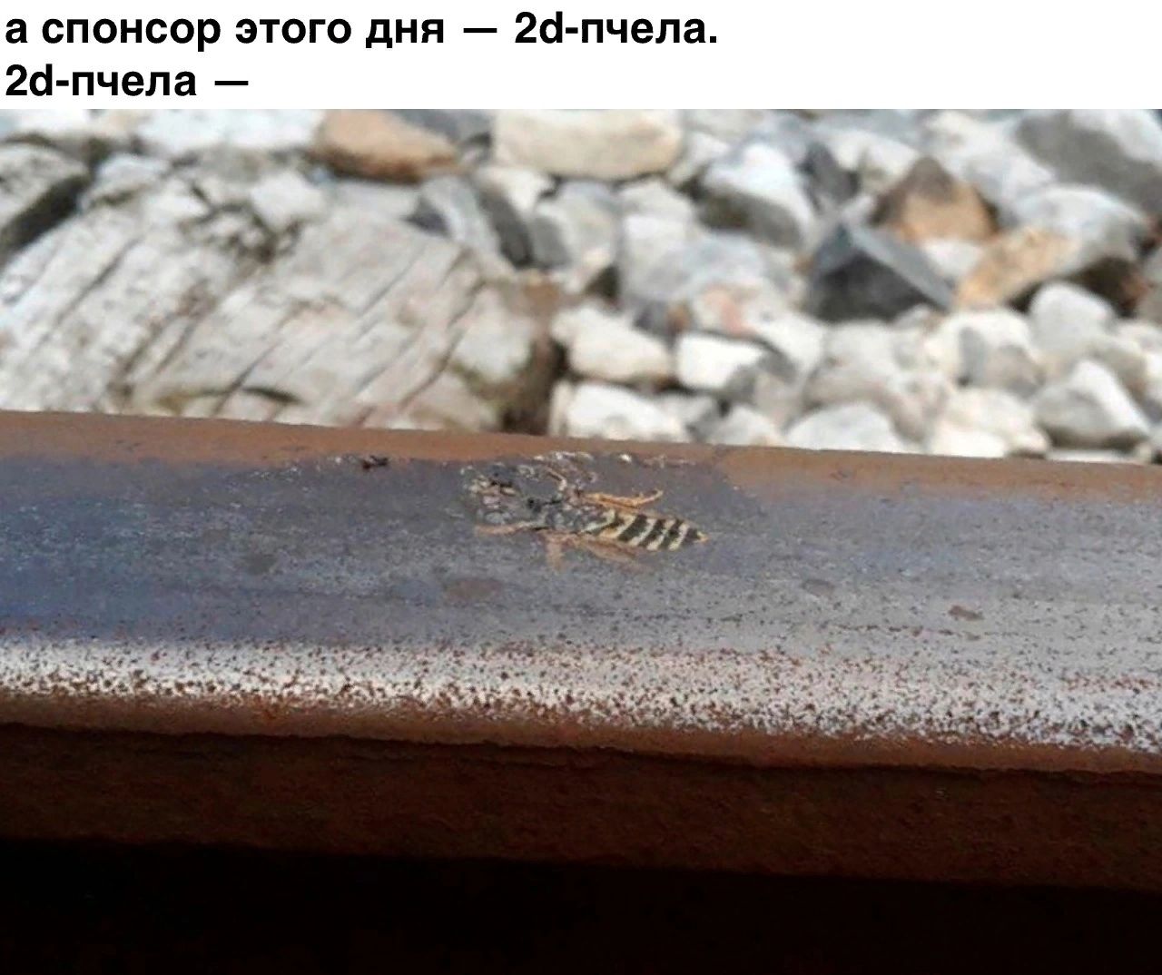 а спонсор зюго дни 26 пчепа 2гі пчепа