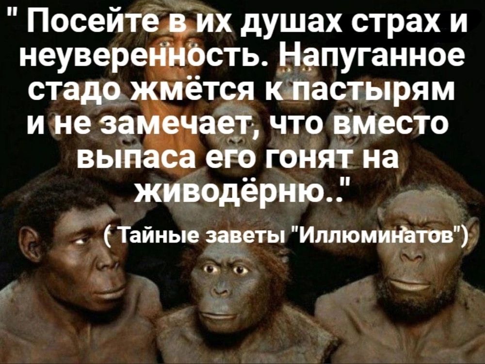 Посейте_ их душах страх и неувере Ъсть _Ндпуганное стаде ется кдастырям и не заЁаег что вместо вып его гонят на живодёрию Тайные заветы Иппюмииъшв _