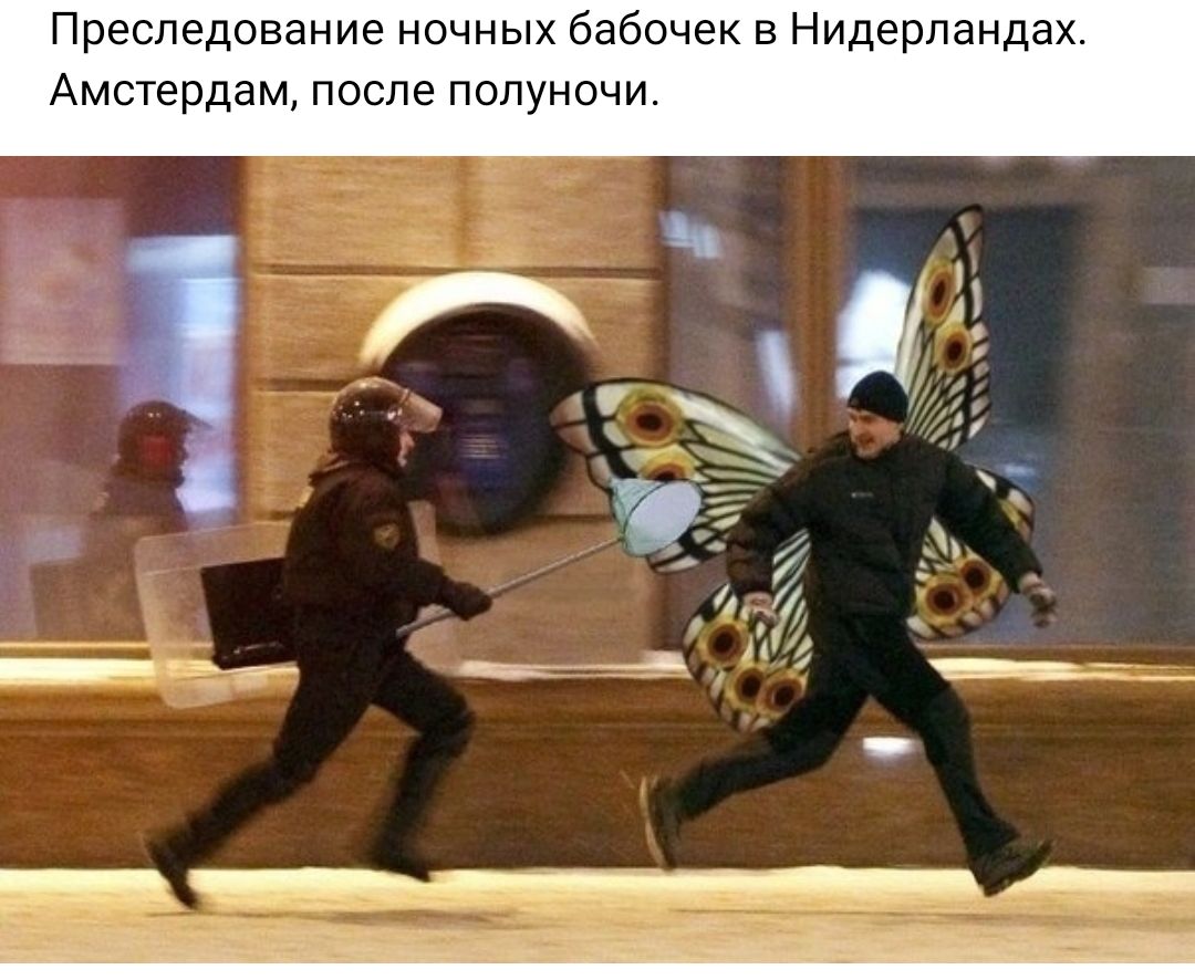 Преследование ночных бабочек в Нидерландах Амстердам после полуночи