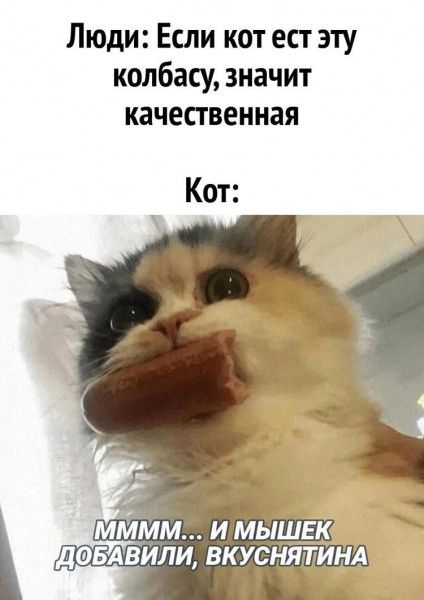 Люди Если кот ест эту колбасу значит качественная мммм и мЫш довАвили вкусна НА