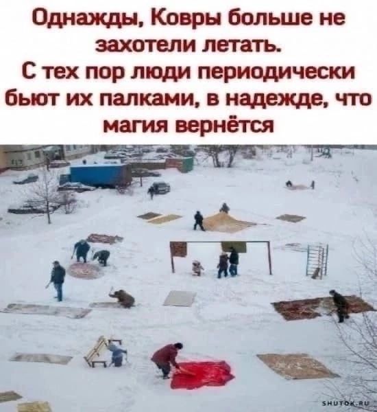 Оди Ковры больше не захотели летать С тех пор люди пвриодичест бьют их папками в малыше что