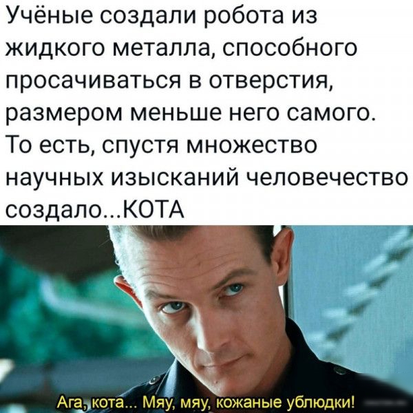 Учёные создали робота из жидкого металла способного просачиваться в отверстия размером меньше него самого То есть спустя множество научных изысканий человечество создалоКОТА Ага нота сливные блюд