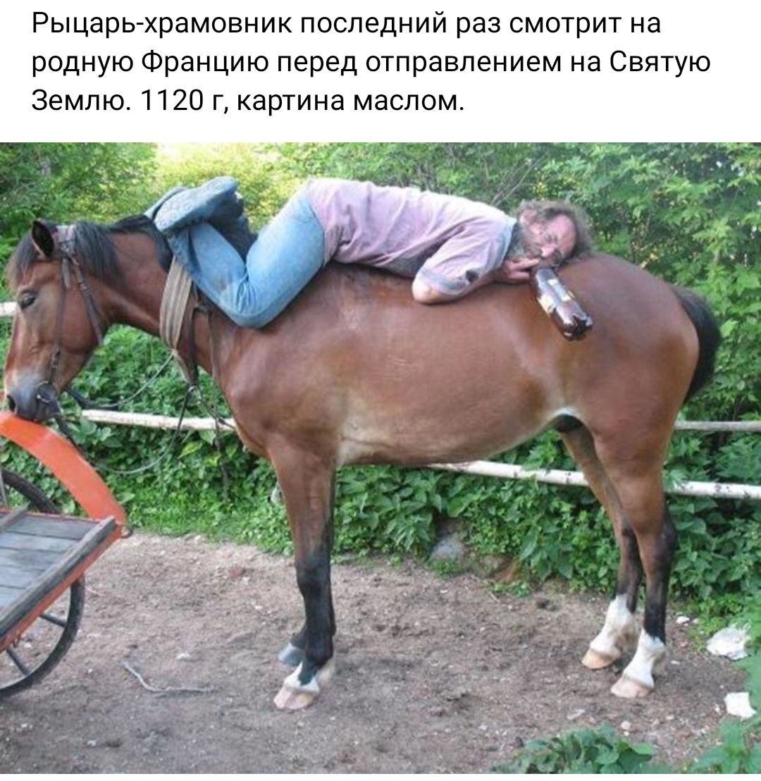 Рыцарь храмовник последний раз смотрит на родную Францию перед отправлением на Святую Землю 1120 г картина маслом