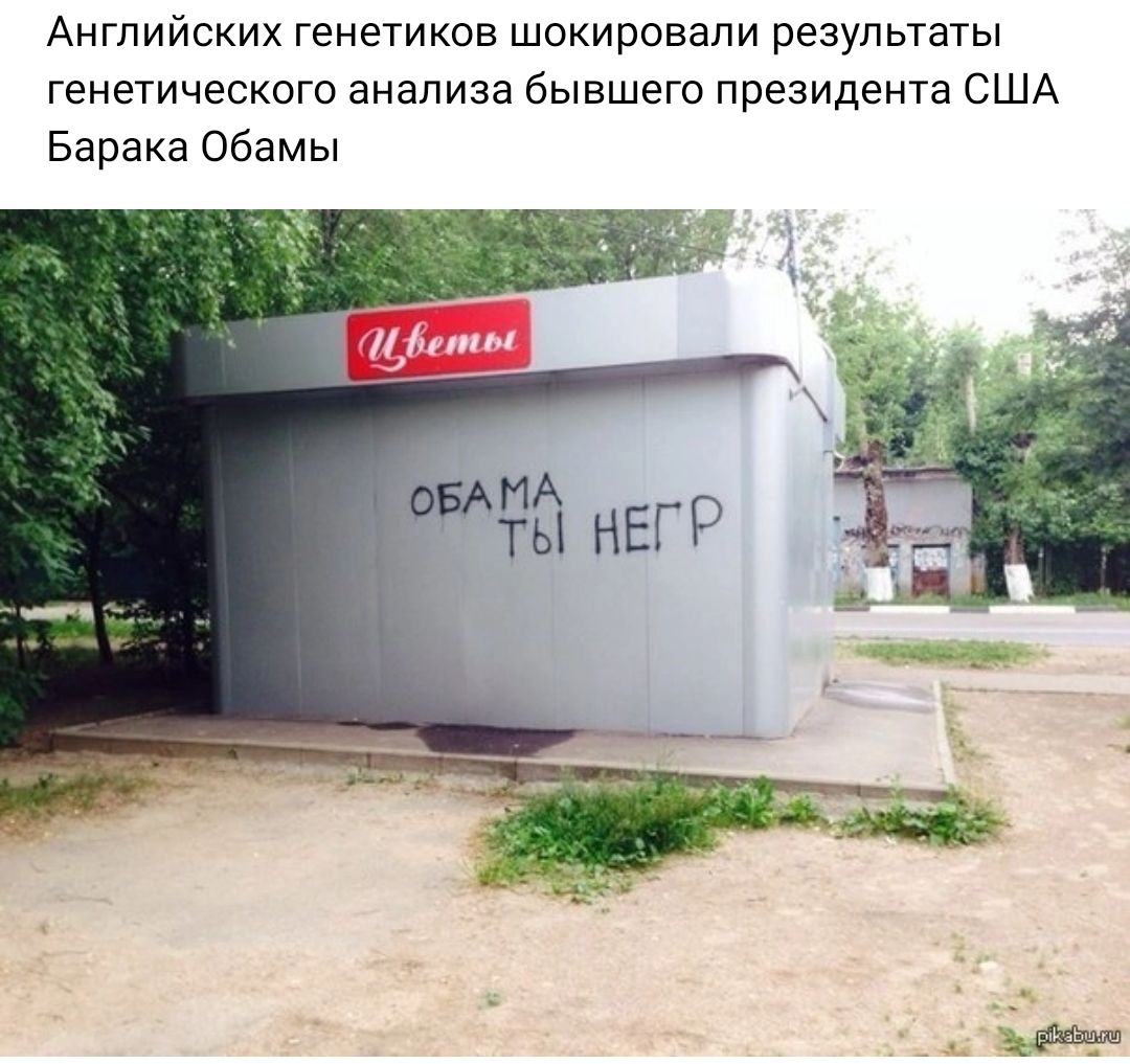 Английских генетиков шокировали результаты генетического анализа бывшего президента США Барака Обамы тыщ