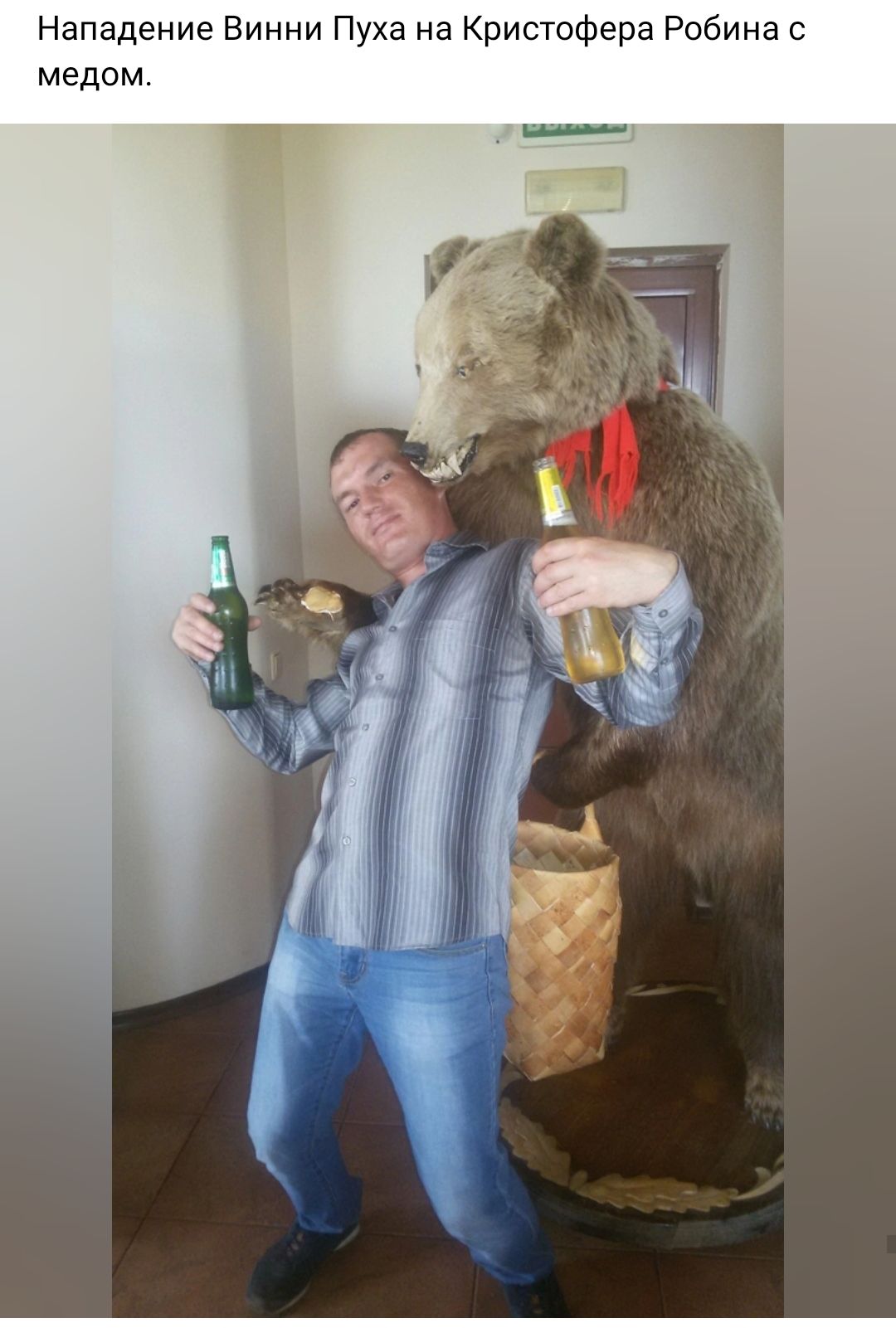 Нападение Винни Пуха на Кристофера Робина МЕДОМ
