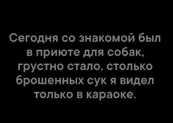 Сегодня со знакомой был в приюте для собак грустно стало столько брошенных сук я видел только в караоке