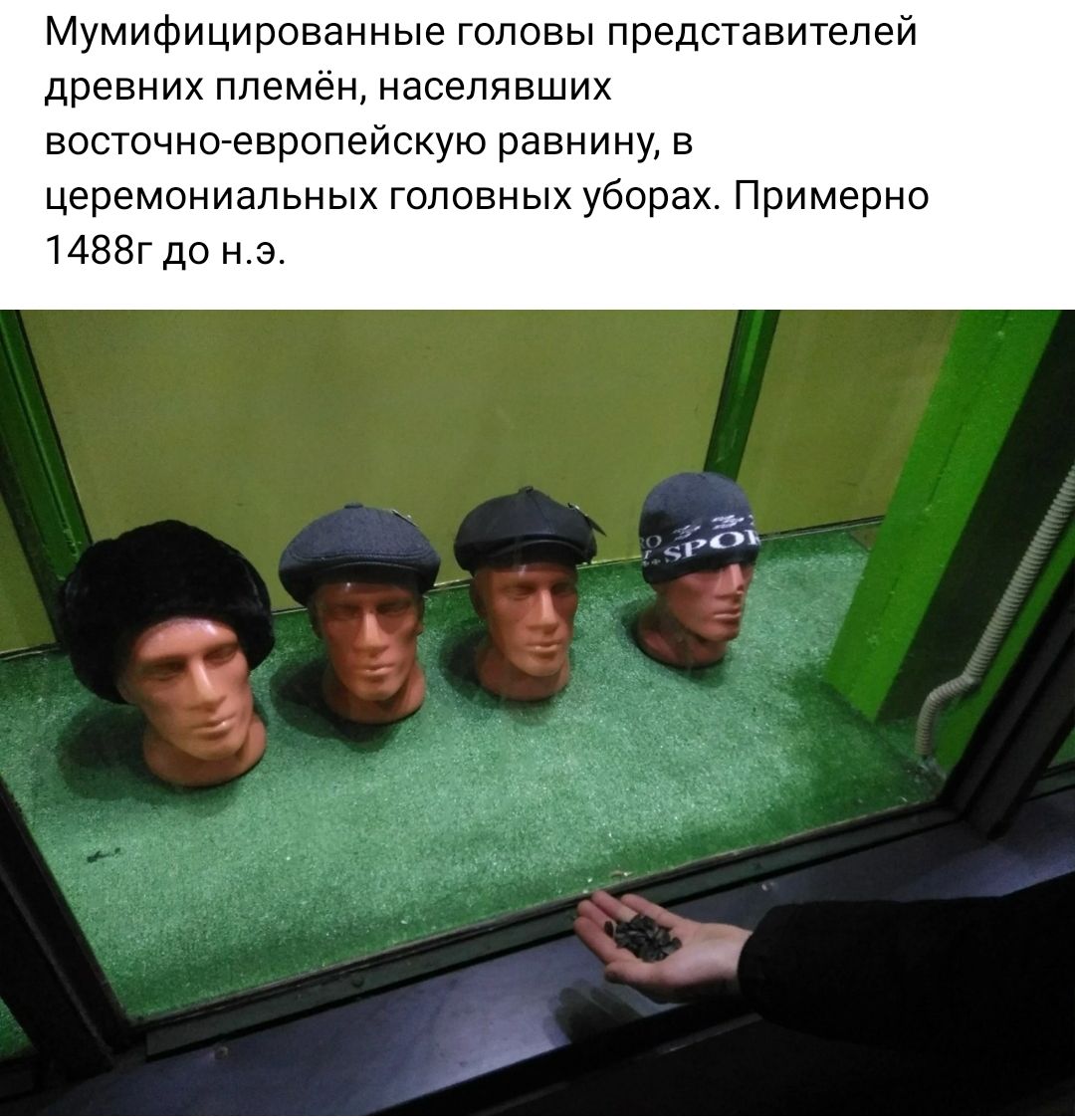 Мумифицированные головы представителей древних племён населявших восточноевропейскую равнину в церемониальных головных уборах Примерно инете н э
