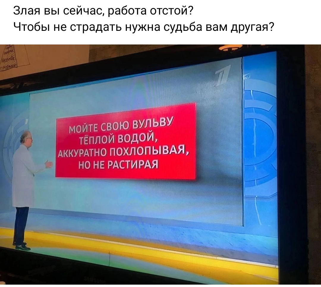 Злая вы сейчас работа отстой7 Чтобы не страдать нужна судьба вам другая7 плинт ш вмггг