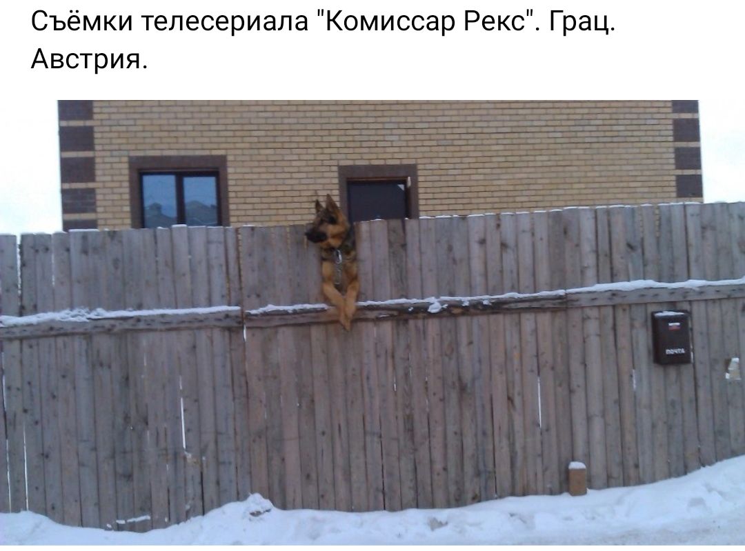 Съёмки телесериала Комиссар Рекс Грац Австрия