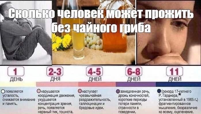 см см сим мы цы пд тм 11 и г мшм Миша ш живыми пляши шп мм тии тп боли н иш мым щ щ и