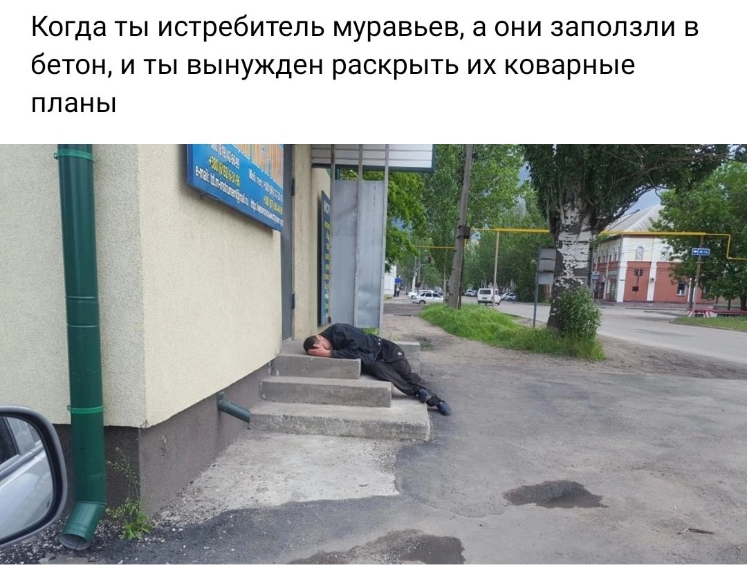Когда ты истребитель муравьев а они запопзпи в бетон и ты вынужден раскрыть их коварные планы