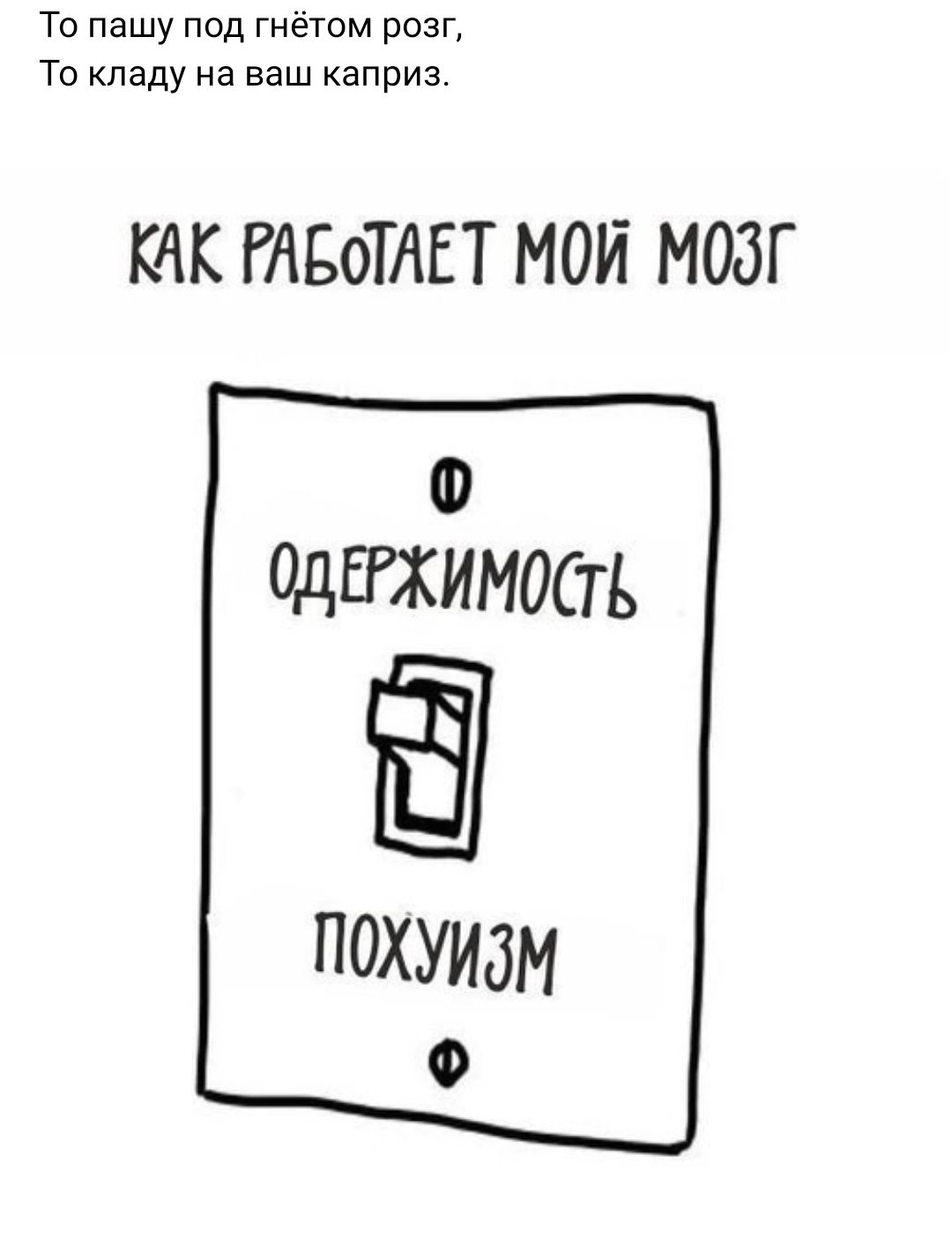 То пашу под гнётом разг То кладу на ваш каприз КАК РАБОТАЕТ МОЙ МОЗГ