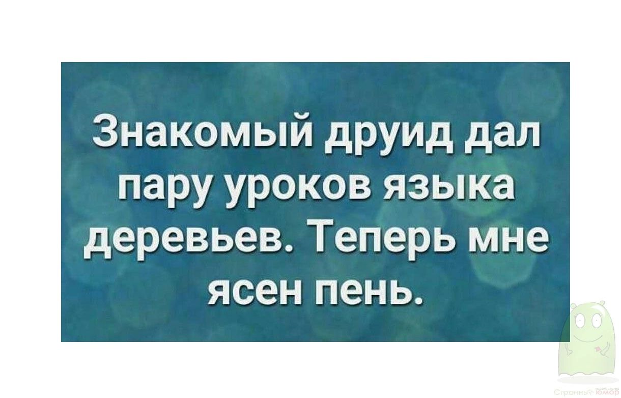 Знакомый друид дал пару уроков языка деревьев Теперь мне ясен пень
