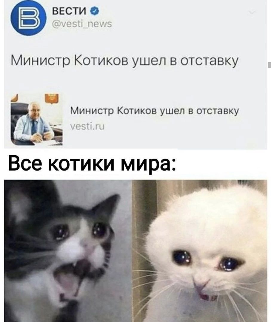 ВЕСТИ Министр Котиков ушел в отставку _тц Министр Котиков ушел в отставку Все КОТИКИ мира