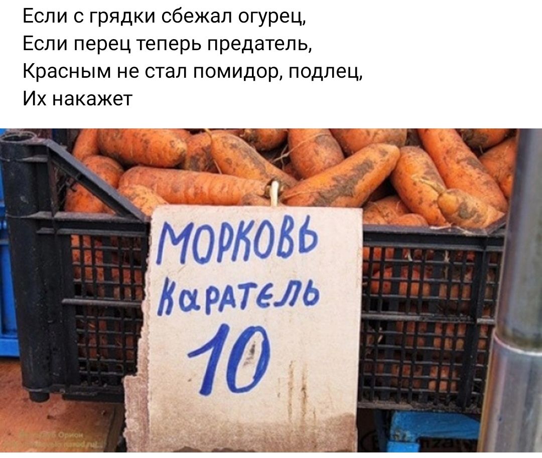 Если грядки сбежал огурец Если перец теперь предатель Красным не стал помидор подлец Их накажет ХМ МОР086 Виртю 10