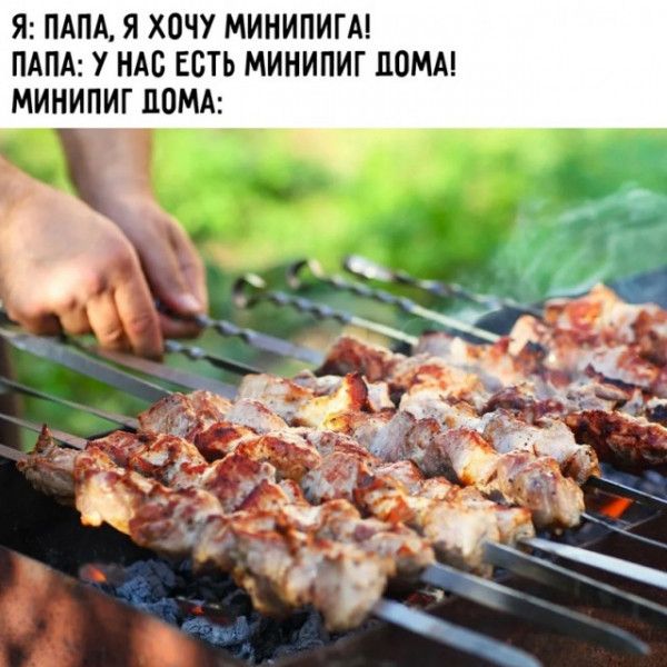 Я ПАПА Я ХОЧУ МИНИПИГА ПАПА У НАС ЕСТЬ МИНИПИГ ЦОММ МИНИПИГ ПОМА