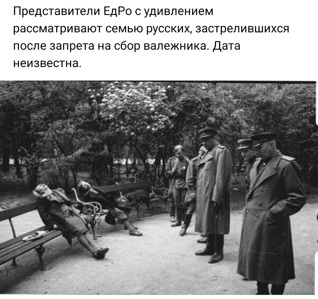 Представители ЕдРо удивлением рассматривают семью русских застрепившихся после запрета на сбор вапежника дата неизвестна