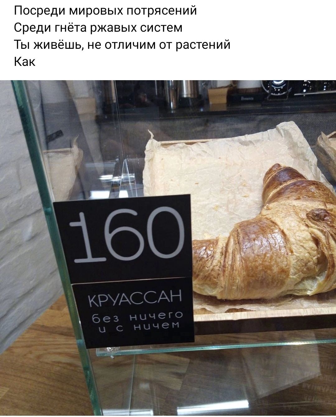 Посреди мировых потрясений Среди гнёта ржавых систем Ты живёшь не отличим от растений Как